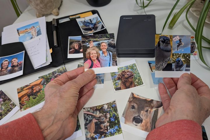 Canon's Selphy Photo Layout app provides creative inspiration for Selphy QX20 prints.
