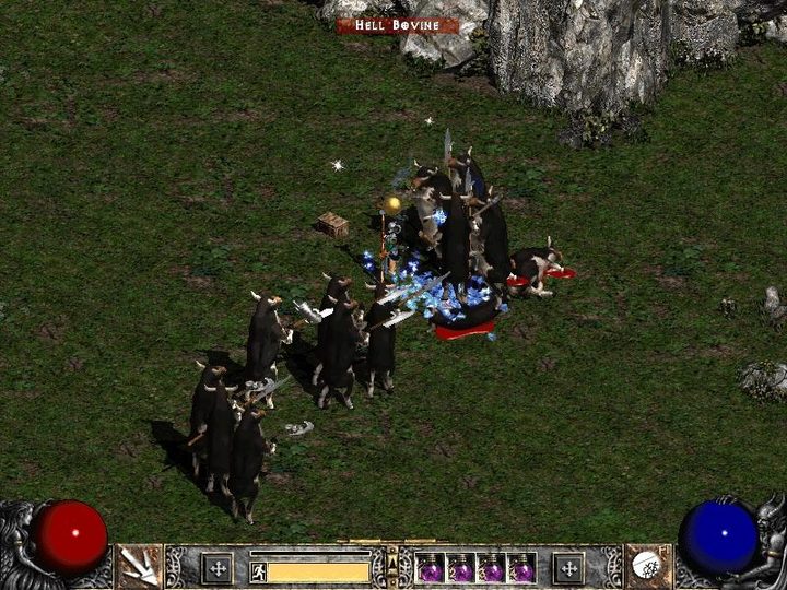The secret cow level in Diablo 2.