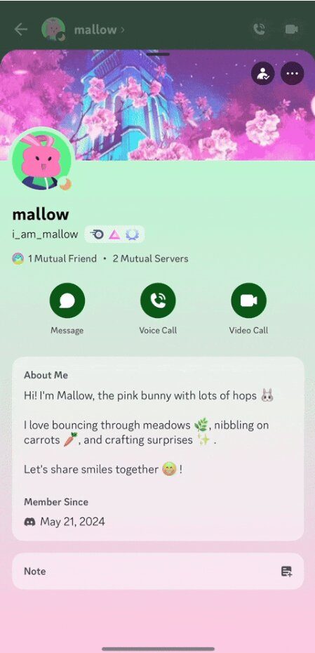 Discord Ignore button; intended user.