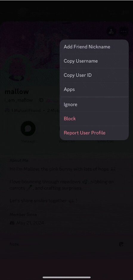 Ignore button appears from drop down menu of Discord user's profile.