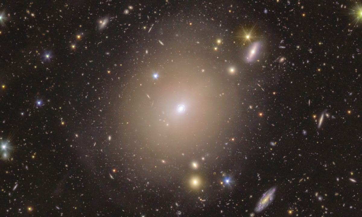Euclid image of a bright Einstein ring around galaxy NGC 6505