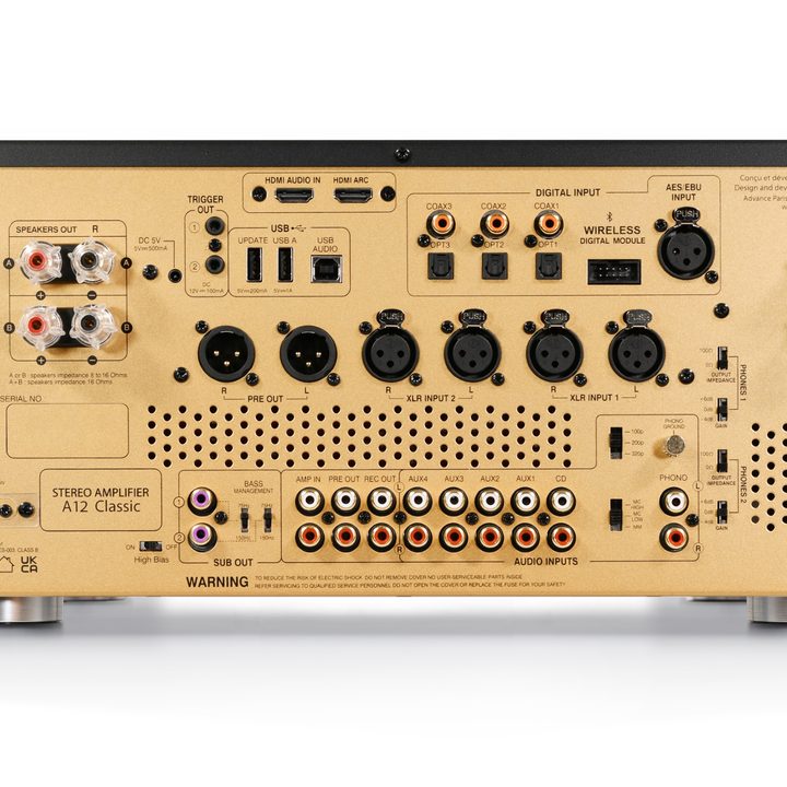 The rear panel of the Advance Paris A12 Classic Integrated Amplifier.