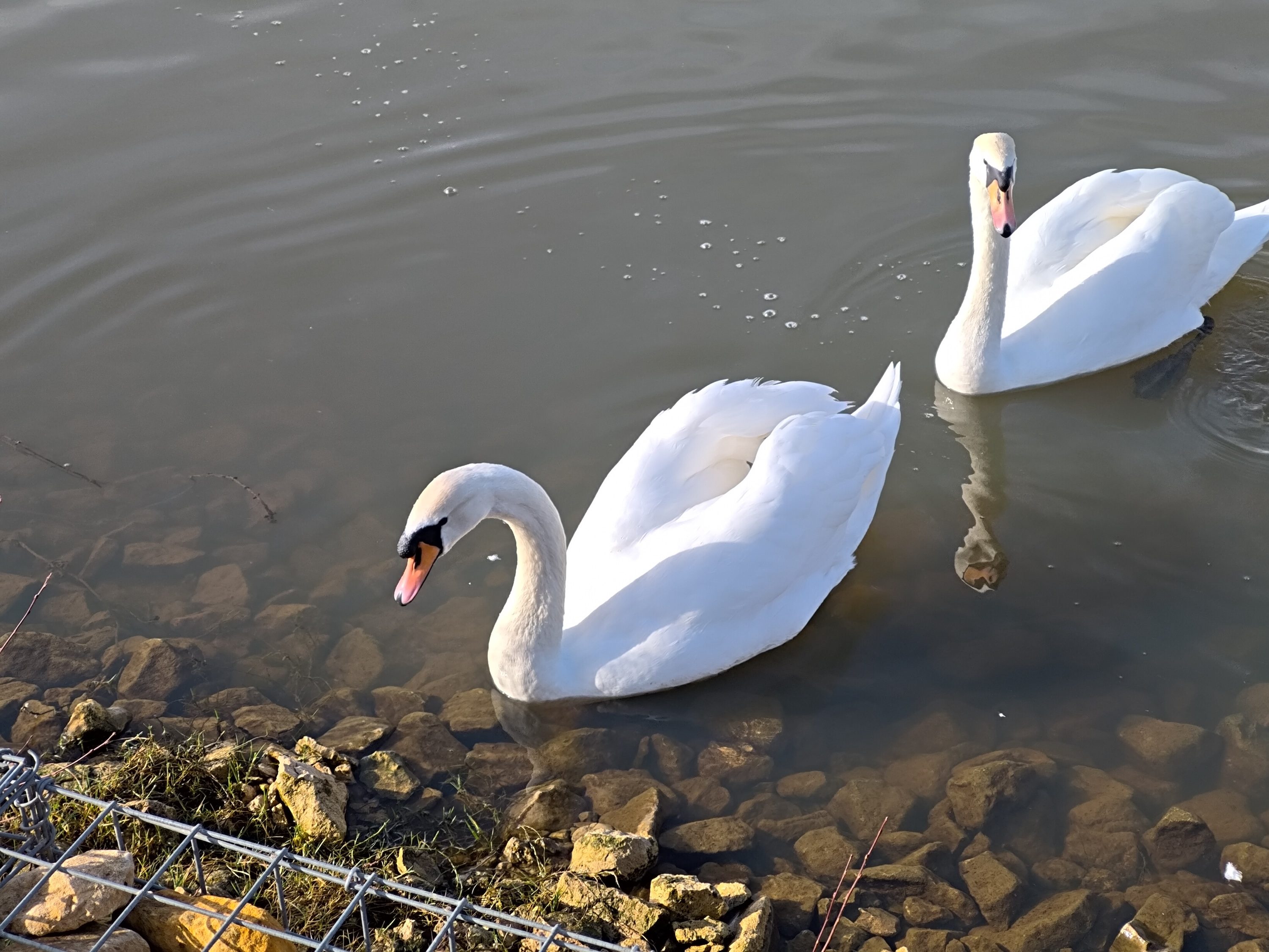 A photo taken with the Asus Zenfone 12 Ultra.