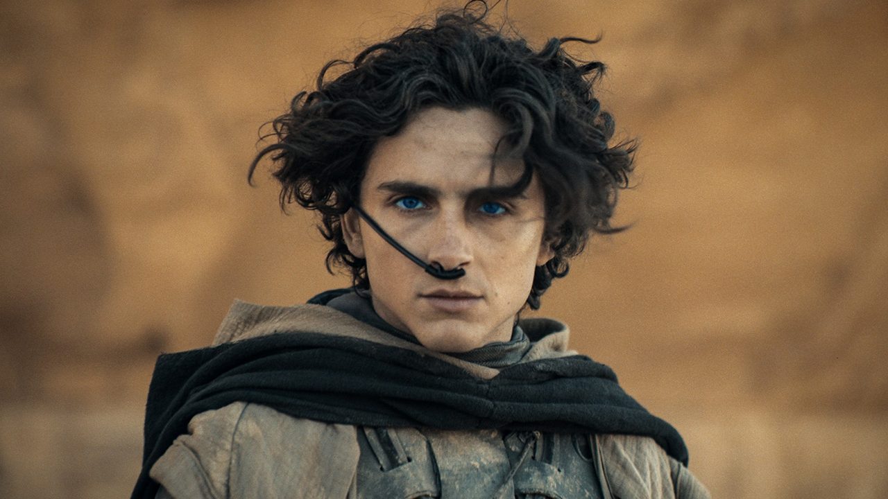 Timothee Chalamet staring at the camera, hair blowing in the wind in the desert in Dune.