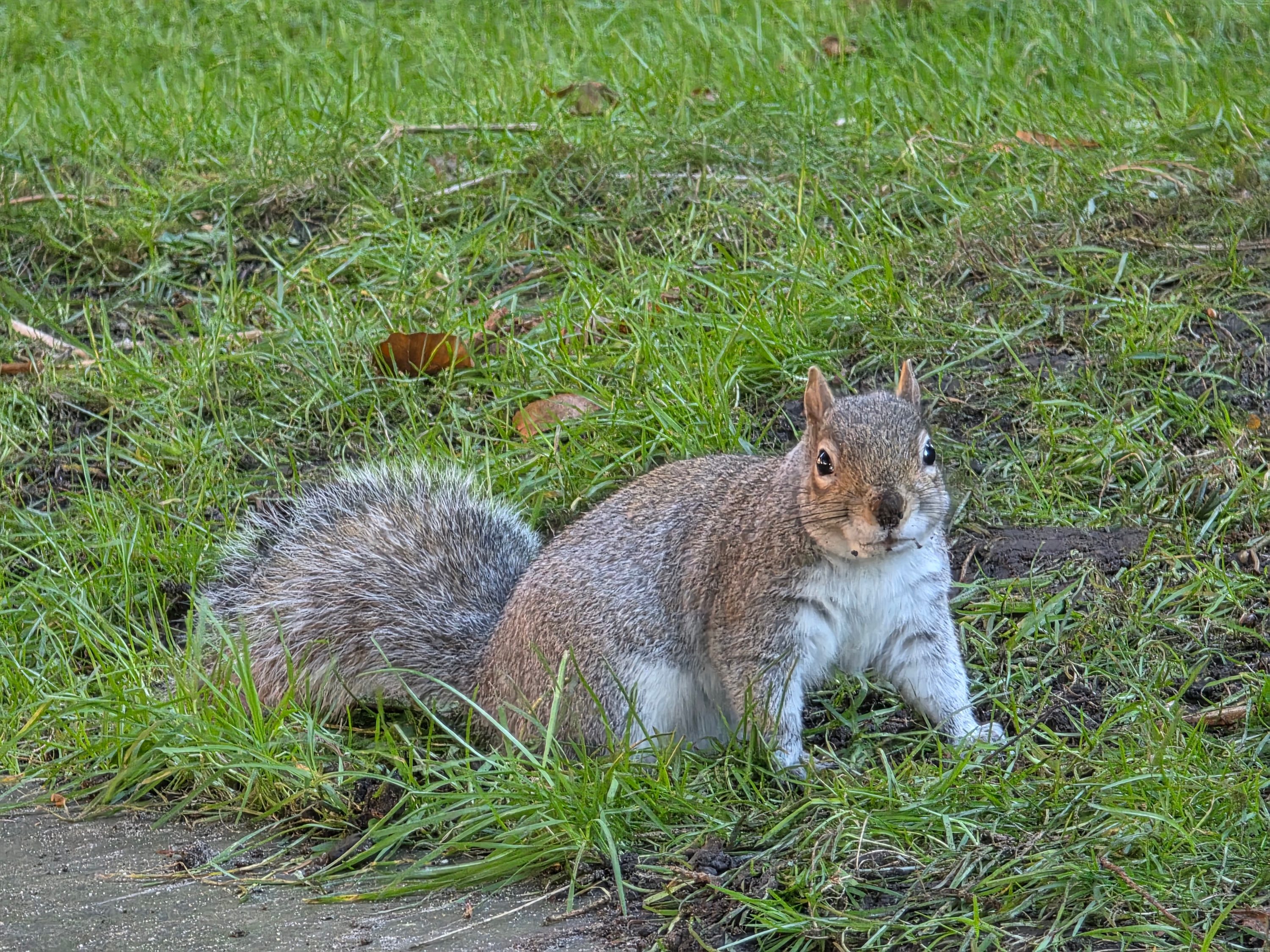 A photo taken with the Galaxy S24 Ultra.