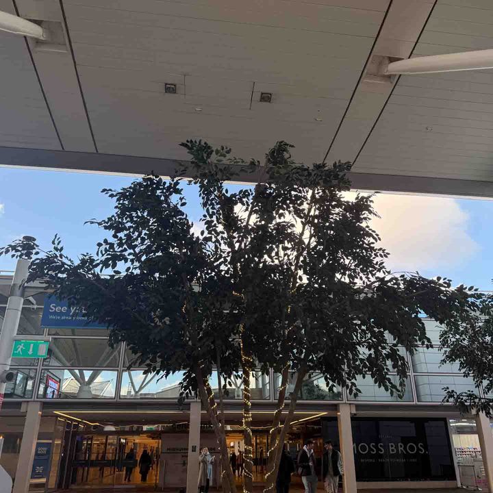 1x photo captured on the iPhone 16 Pro