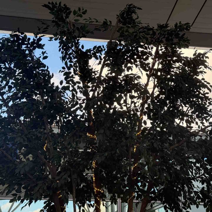 2x photo captured on the iPhone 16 Pro
