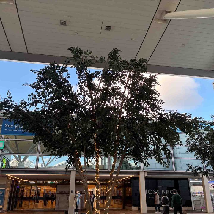 1x photo camera sample captured on the iPhone 16e
