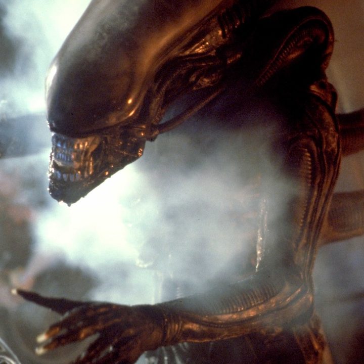 the xenomorph in alien