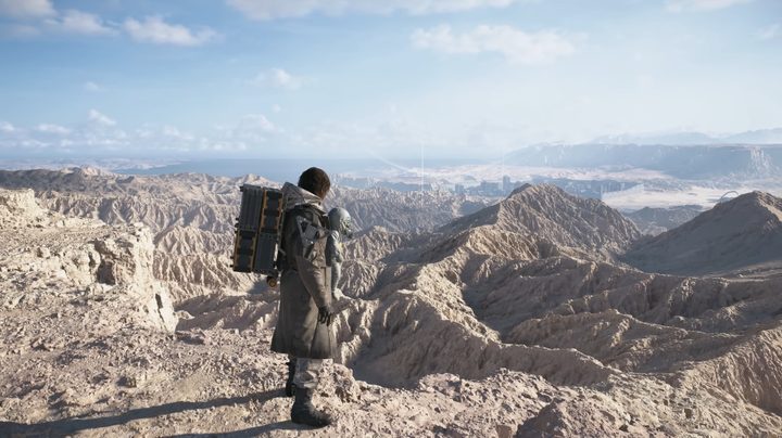 Sam in a desert looking at the landscape.
