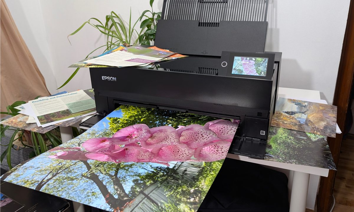 Epson's SureColor P900 handles media up to 17 x 22 inches.