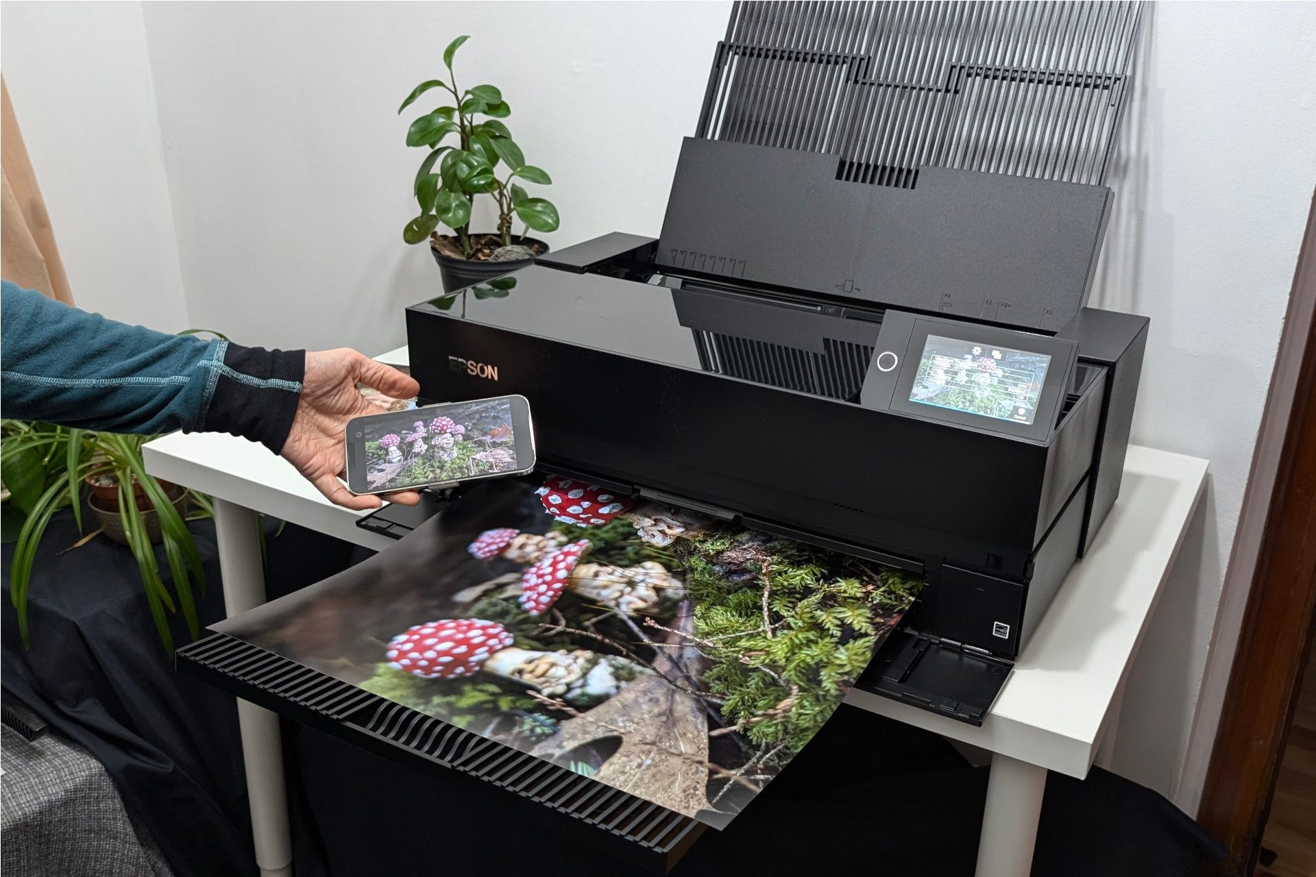 Epson SureColor P900 review: a photographer's printer with poster