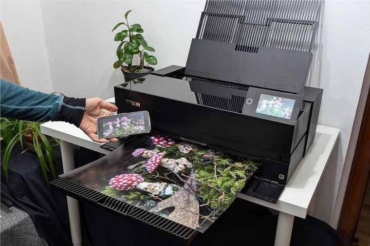 Everything I printed with the SureColor P900 came out with impressive range and accurate colors.