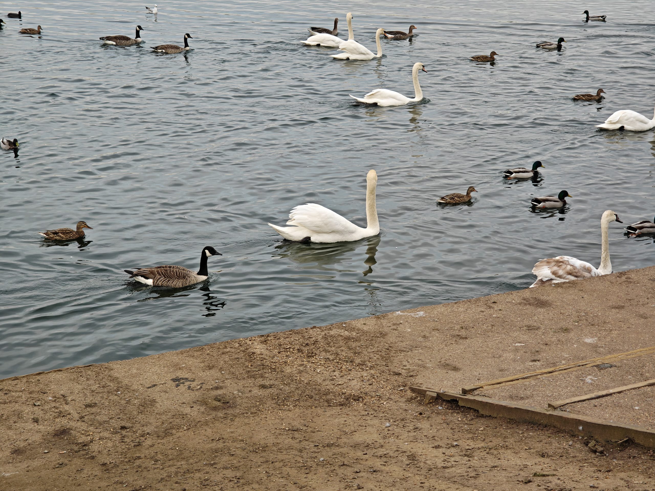 3x camera sample captured on the Oppo Find N5