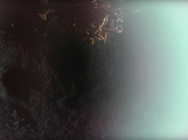 First image taken by the Blue Ghost lander on the surface of the moon.