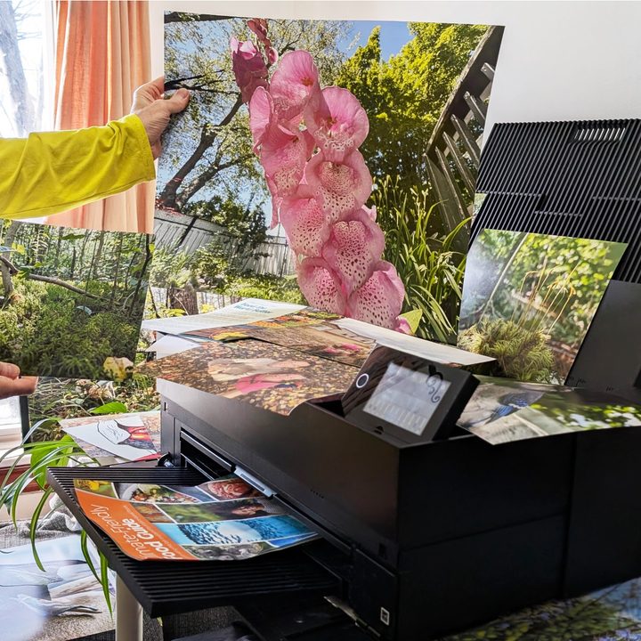 The Epson SureColor P900 prints in photo lab quality on fine art paper at various sizes.