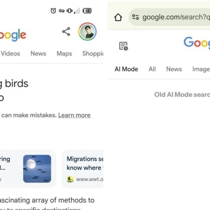 Google app beta release including AI Mode update with refresh feature.