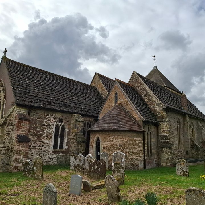 A photo taken with the Samsung Galaxy A55.