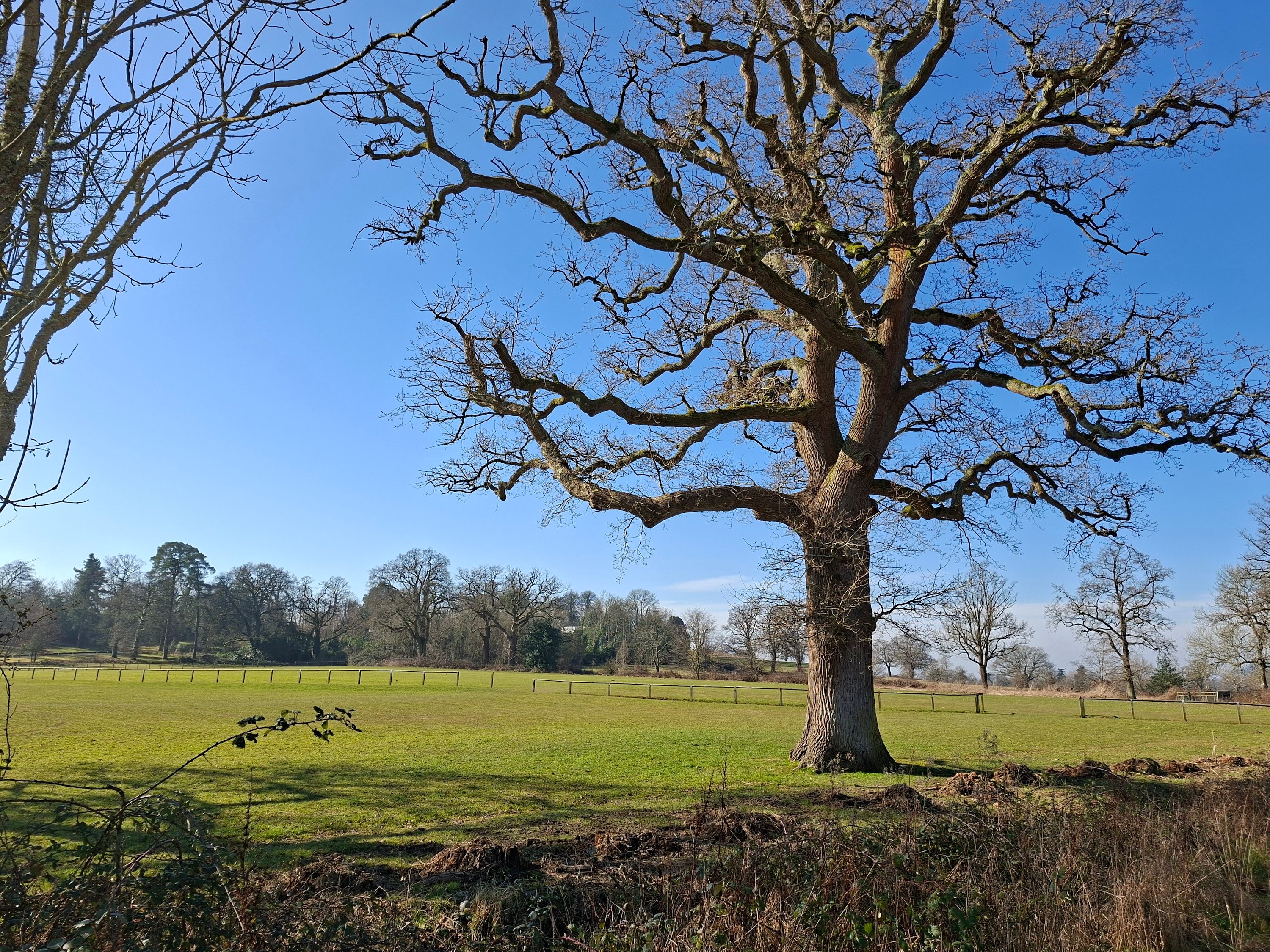A photo taken by the Samsung Galaxy A56.