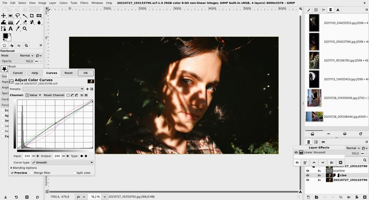 Curves Non-destructive filter being applied to a portrait