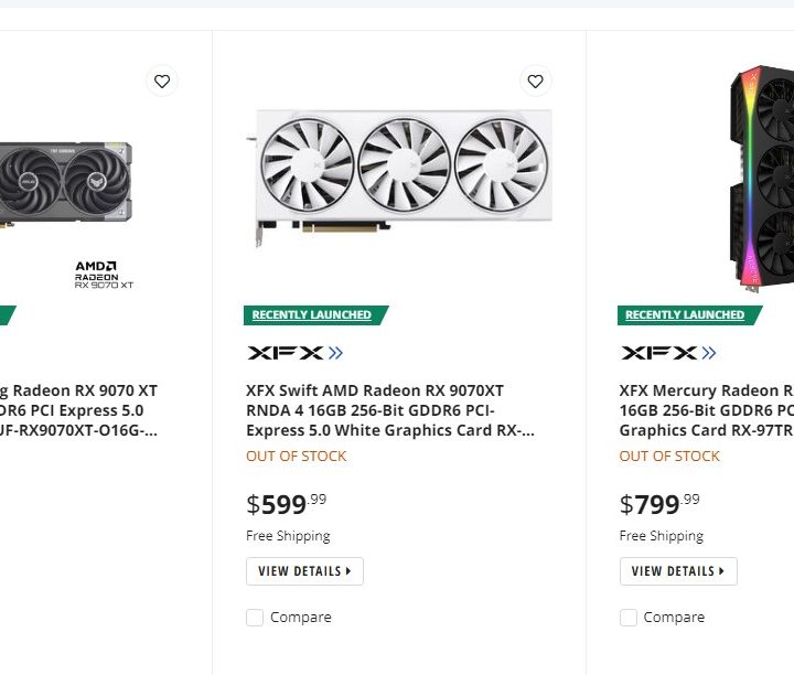 Newegg's stock of the RX 9070 XT.