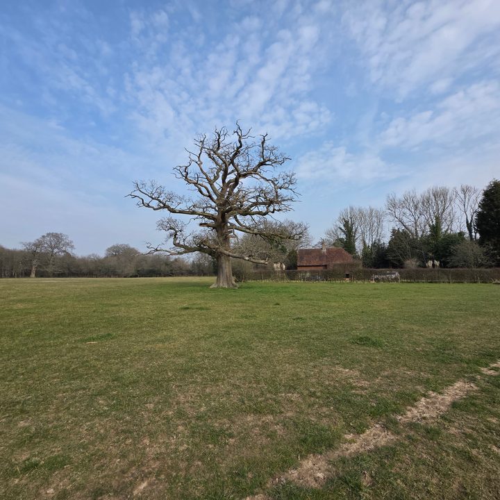 A wide-angle photo taken with the Samsung Galaxy S25 Ultra.