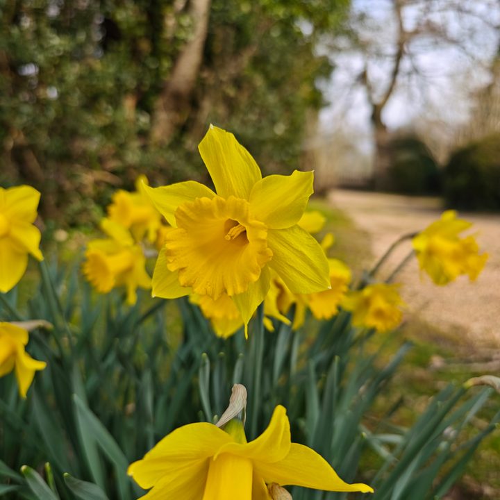A photo taken with the Xiaomi 15 Ultra.