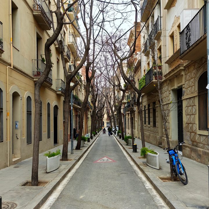 A photo taken with the Xiaomi 15 Ultra.