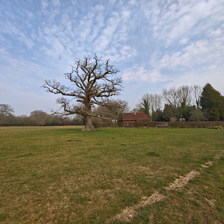 A wide-angle photo taken with the Xiaomi 15 Ultra.