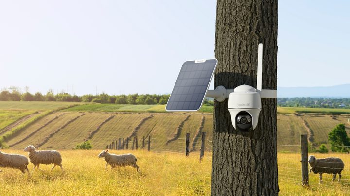 wildlife camera with solar mounted to a tree