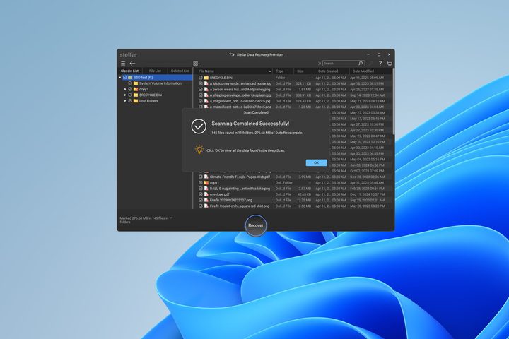 after a scan stellar data recovery premium summarizes the results