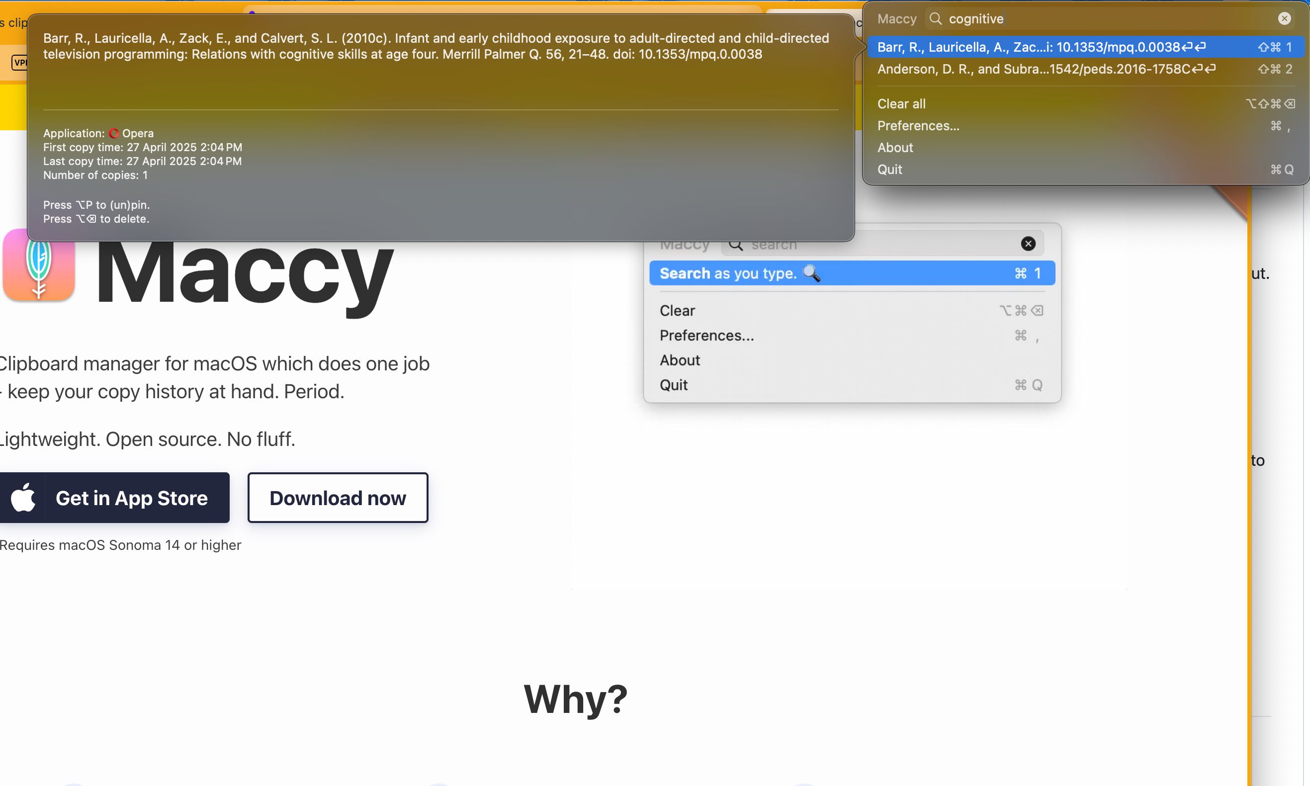 Details of copied items in the Maccy clipboard app for macOS.
