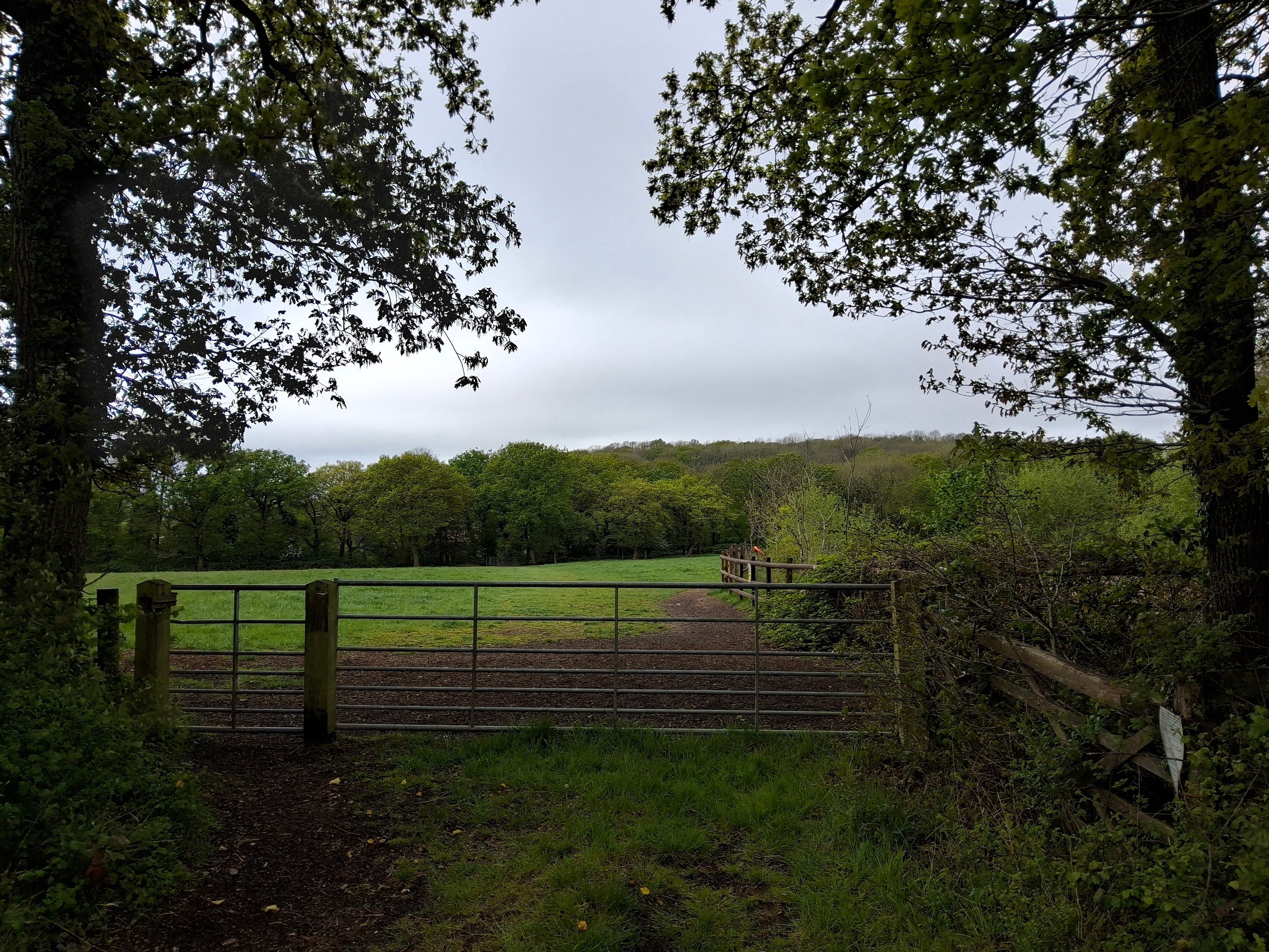 A photo taken with the Samsung Galaxy Tab S10 FE.