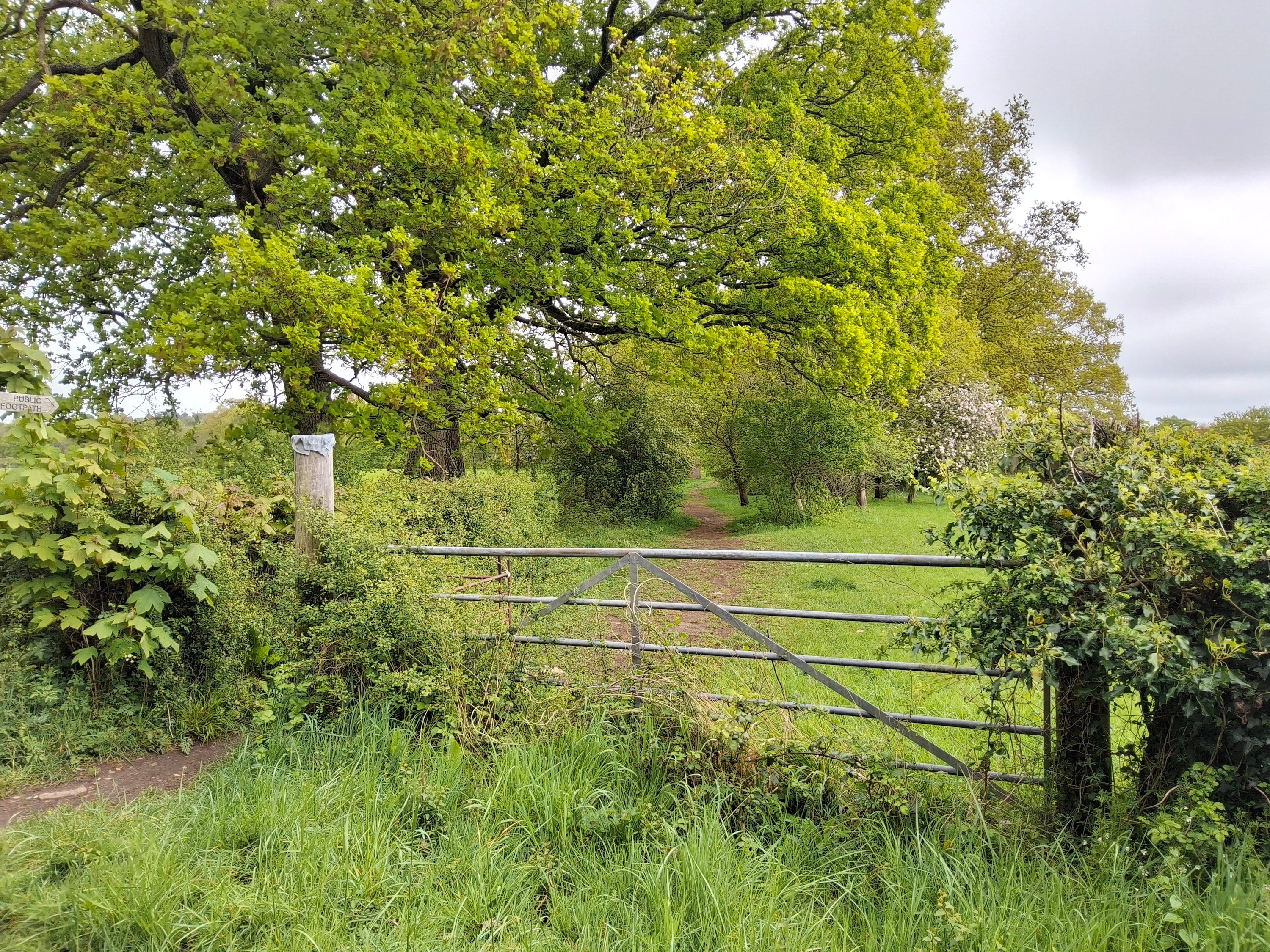 A photo taken with the Samsung Galaxy Tab S10 FE.