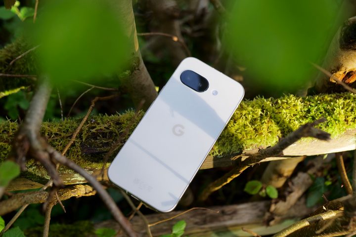 The back of the Google Pixel 9a.