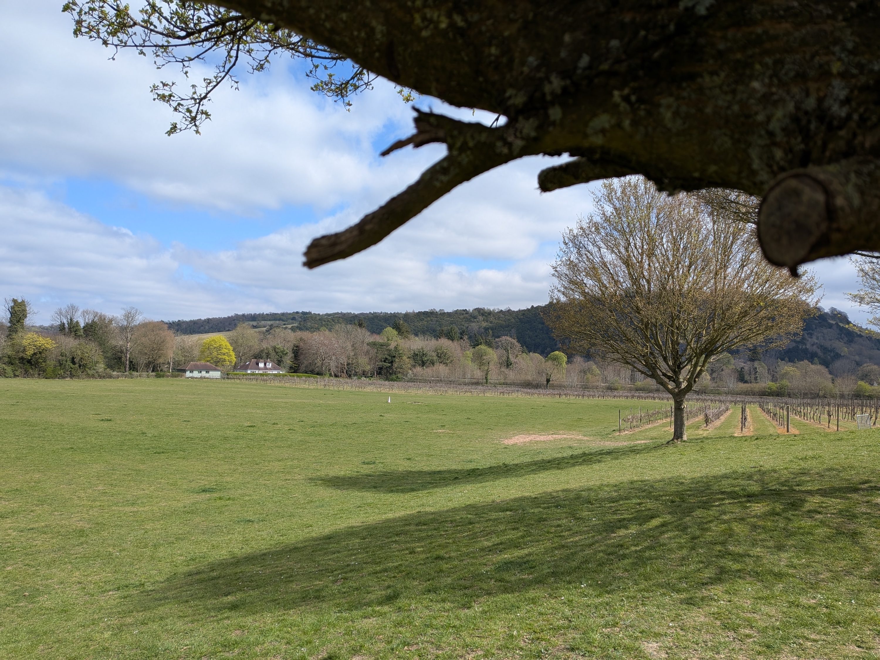 A photo taken with the Google Pixel 9a.