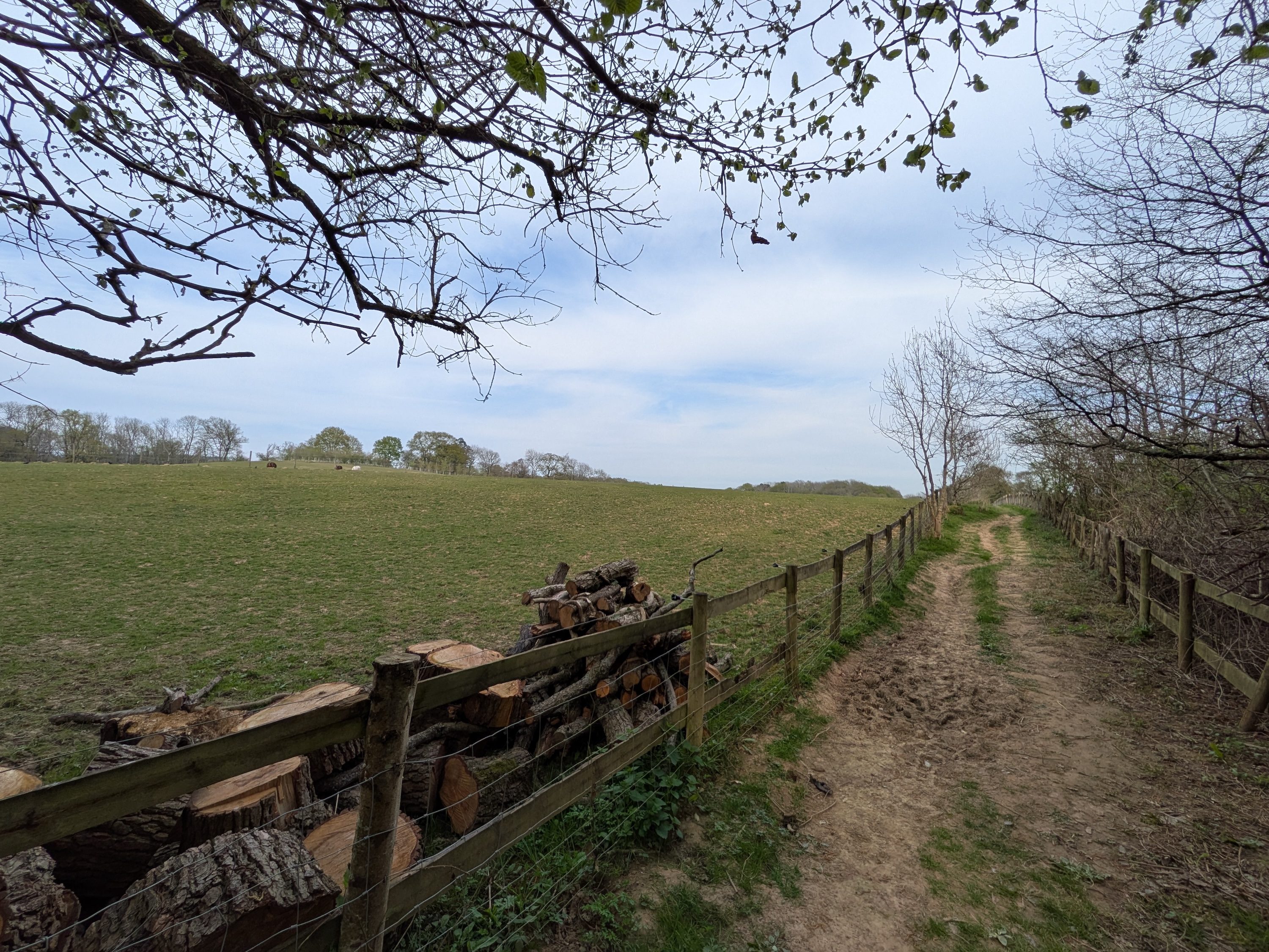 A photo taken with the Google Pixel 9a.