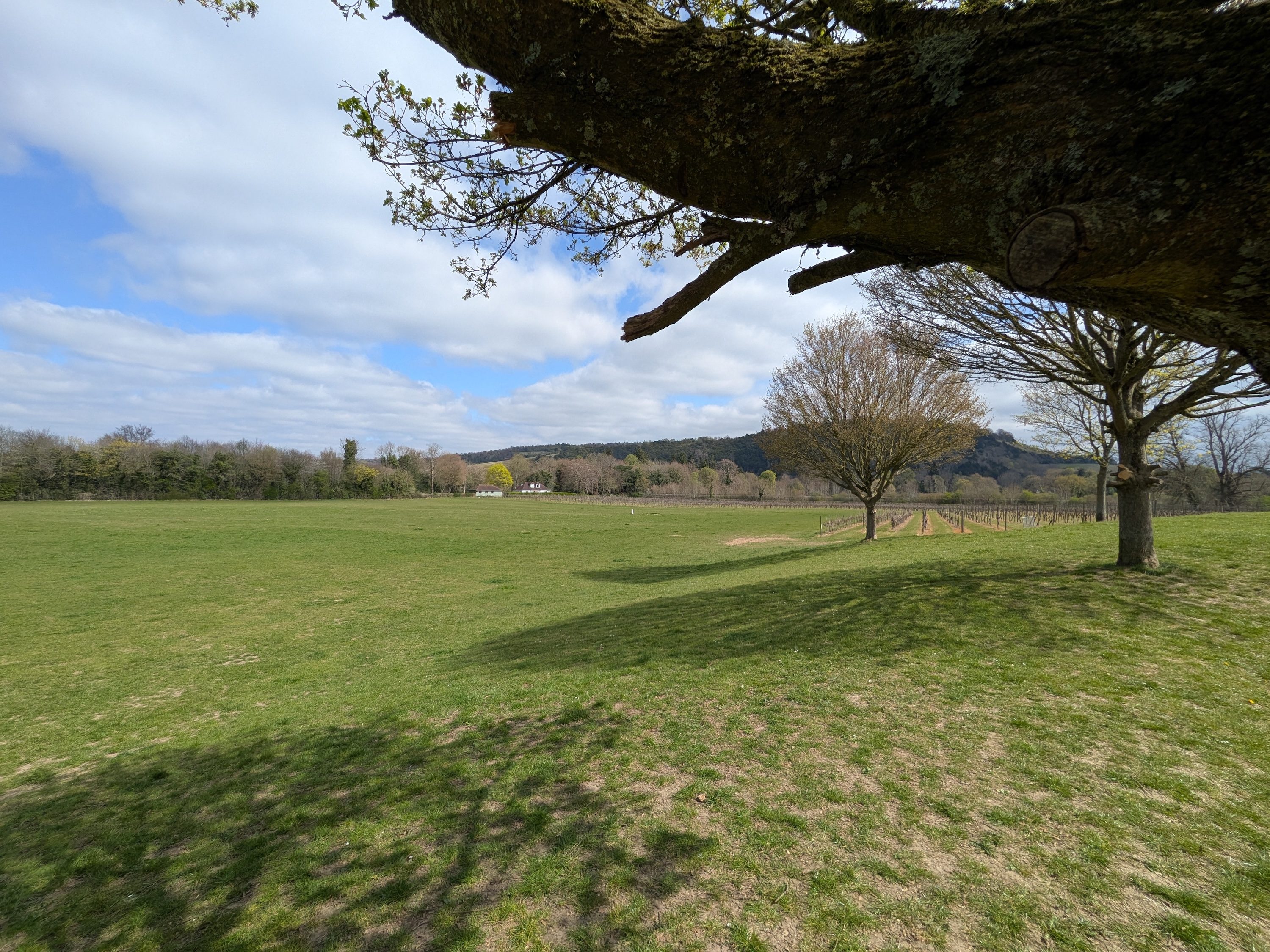 A photo taken with the Google Pixel 9a.