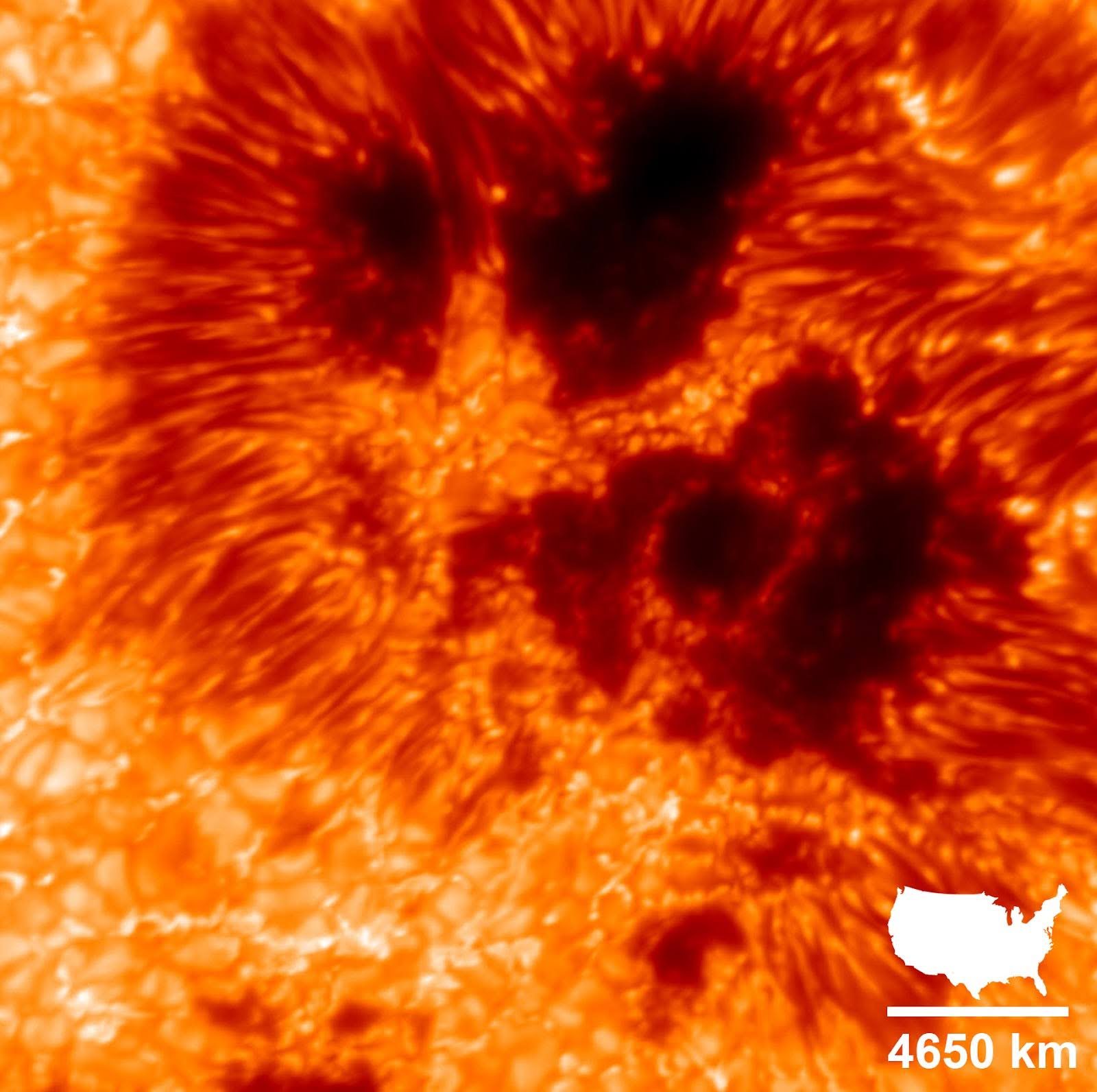 A narrow-band image of the Sun at a wavelength of λ=588.9nm.