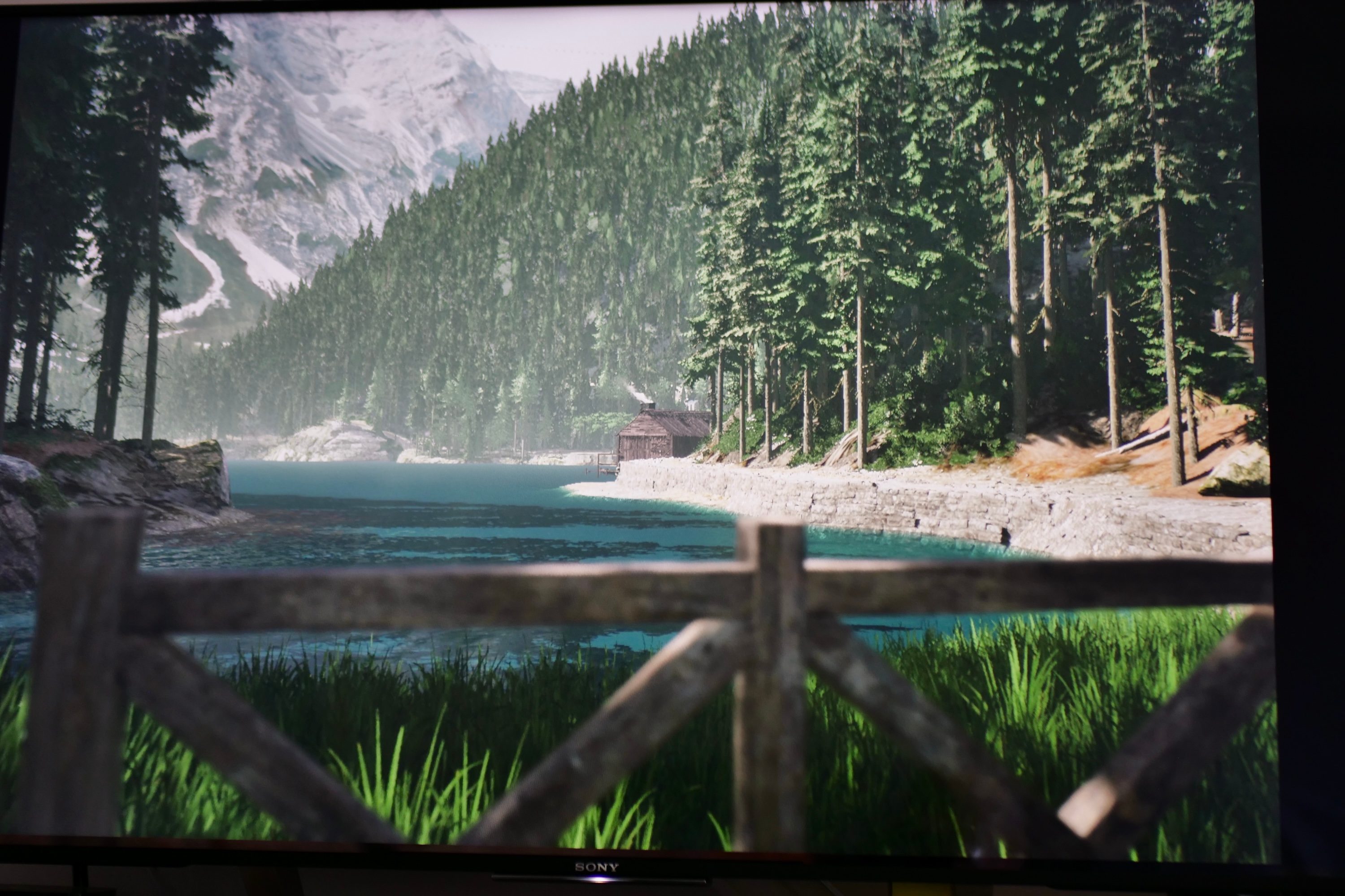 A photo taken in the Lushfoil Photography Sim game.