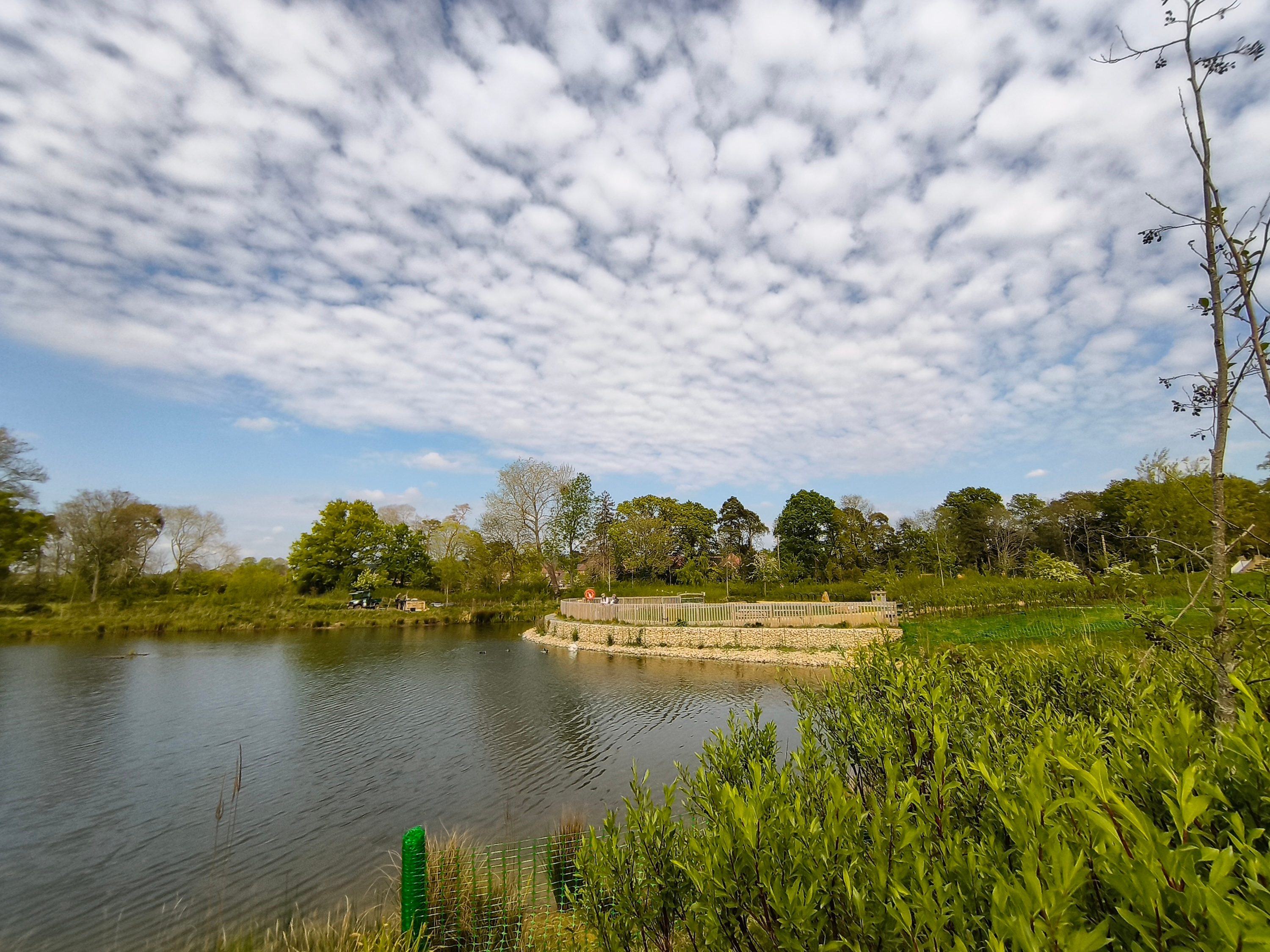 A photo taken with the Nothing CMF Phone 2 Pro's wide-angle camera.