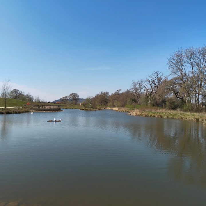 A photo taken with the Nothing Phone 3a Pro's main camera.