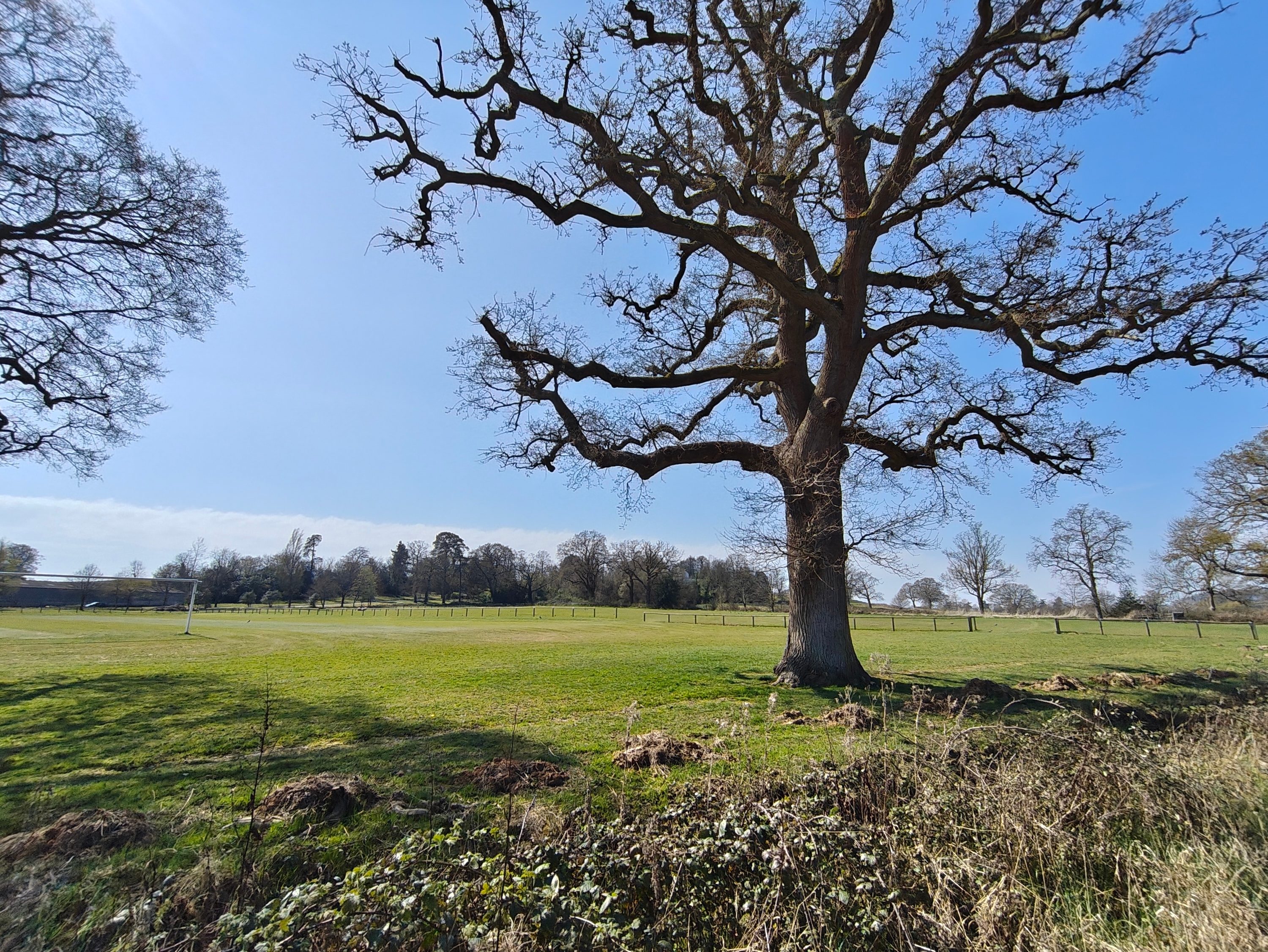 A photo taken with the Nothing Phone 3a Pro's wide-angle camera.