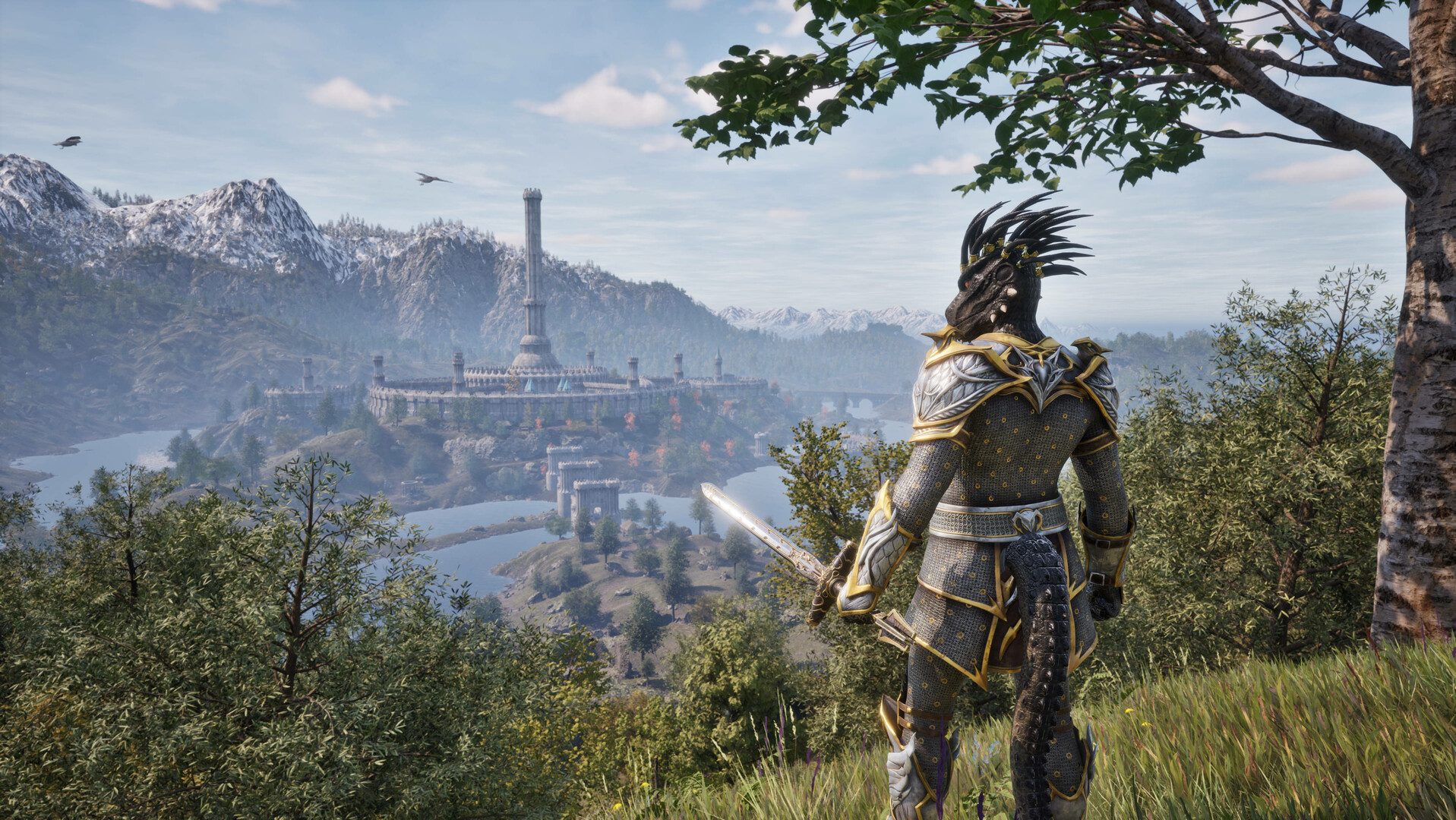 A lizard looks down on a town in The Elder Scrolls IV: Oblivion Remastered.
