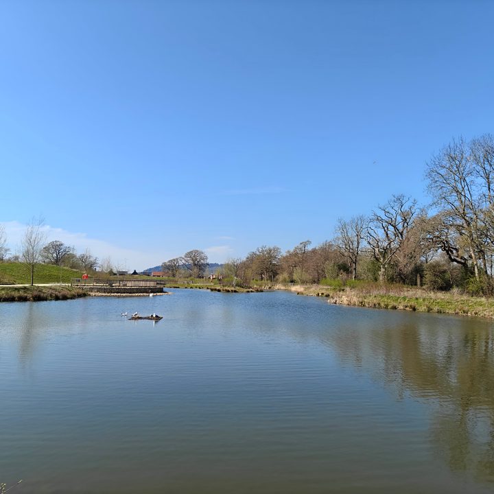 A photo taken with the OnePlus 13R's main camera.