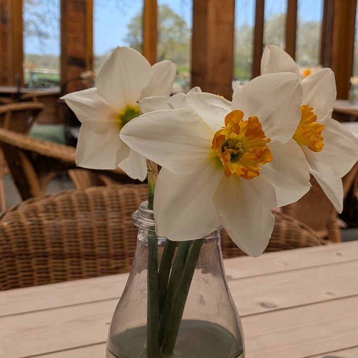 A photo taken with the Pixel 9a's 2x zoom.