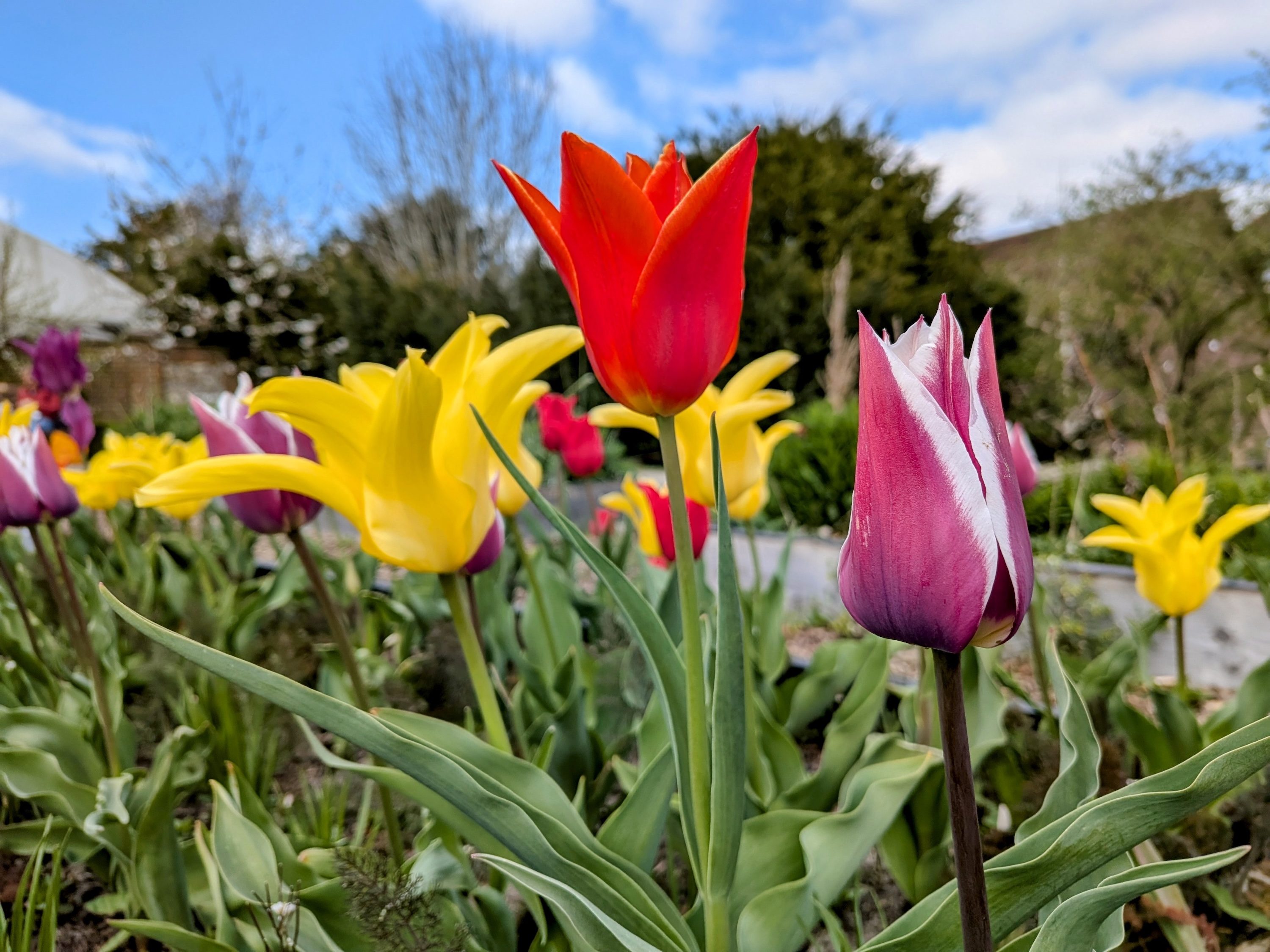 A photo taken on the Pixel 9a and edited in Google Photos.