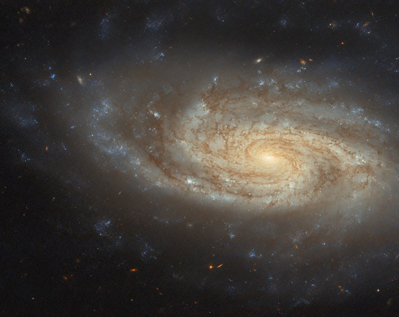 An island universe