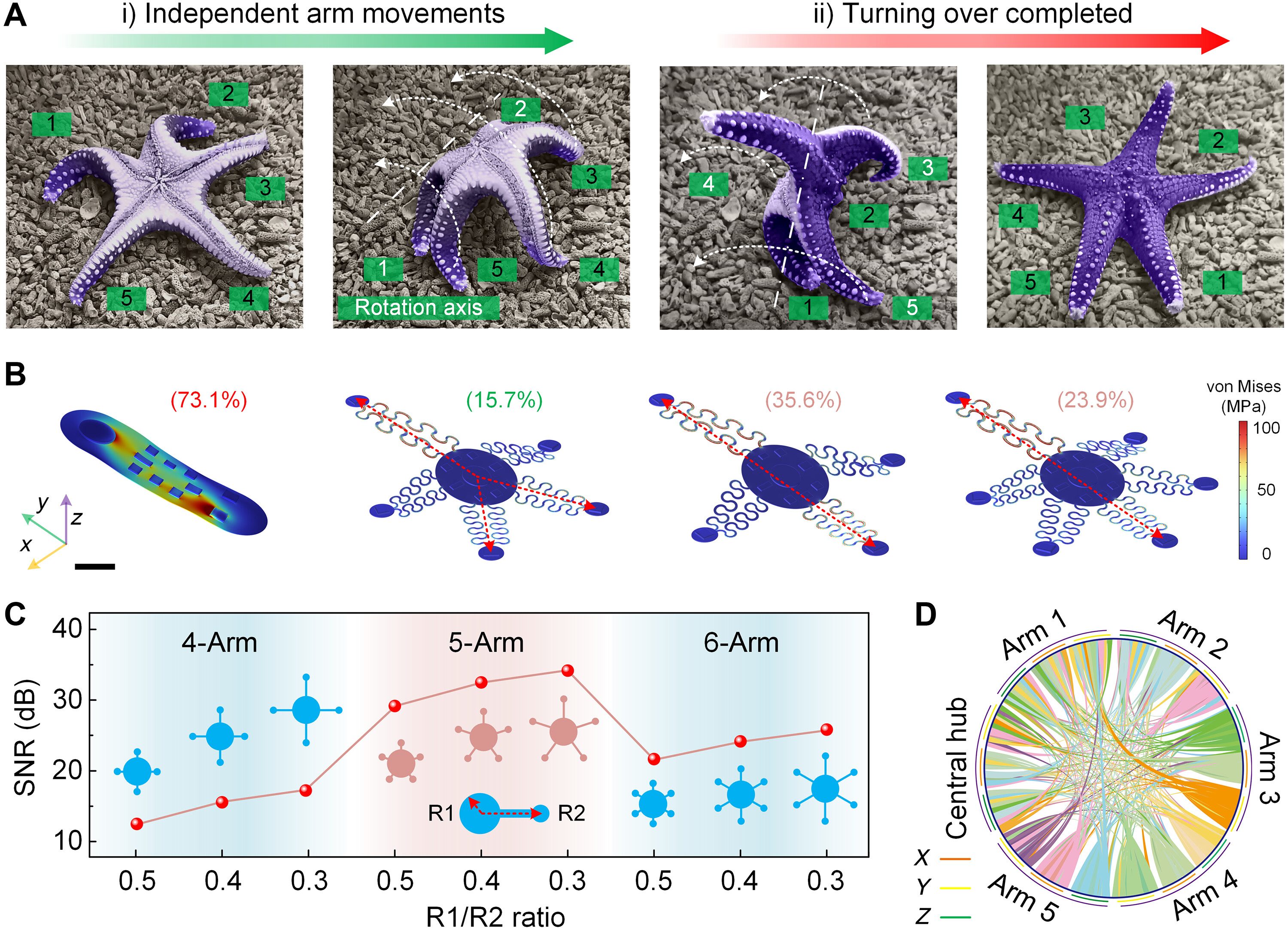 Functional detail of Starfish-inspired wearable device.