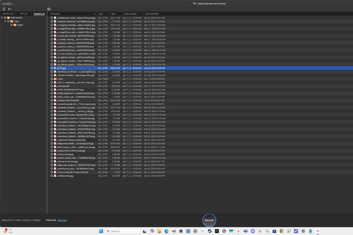 Stellar Data Recovery Premium now has a larger window and a full screen option.